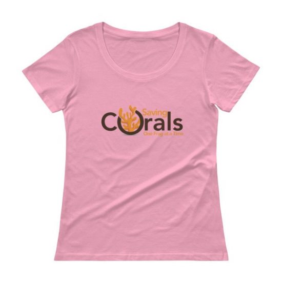 Ladies’ Scoopneck T-Shirt 8