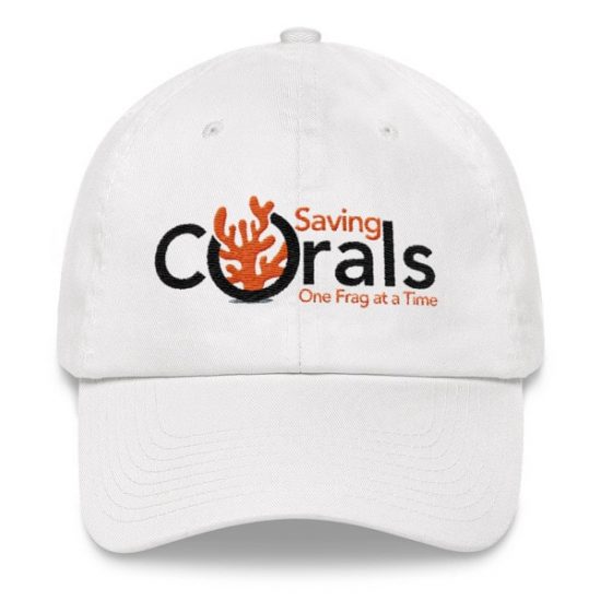 Baseball Cap 6 Baseball Cap 6