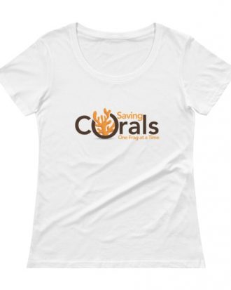 Ladies' Scoopneck T-Shirt