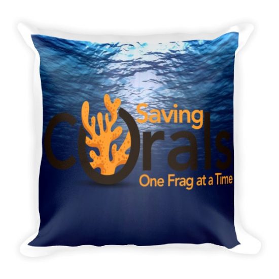 Square Pillow 2 Square Pillow 2