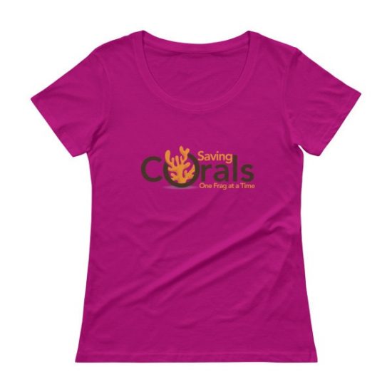 Ladies' Scoopneck T-Shirt
