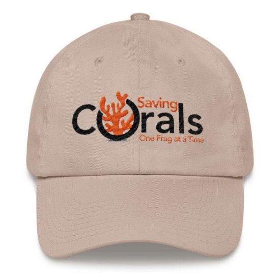 Baseball Cap 4 Baseball Cap 4