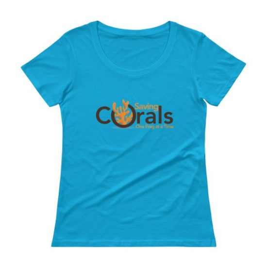 Ladies’ Scoopneck T-Shirt 7