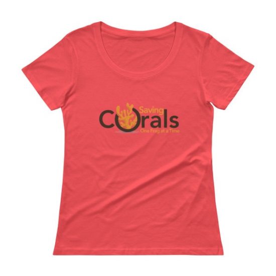 Ladies’ Scoopneck T-Shirt 6