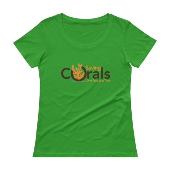 Ladies’ Scoopneck T-Shirt 4