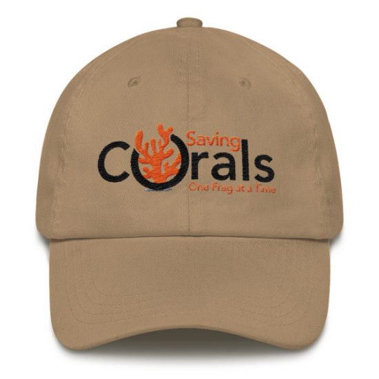 Baseball Cap 3 Baseball Cap 3